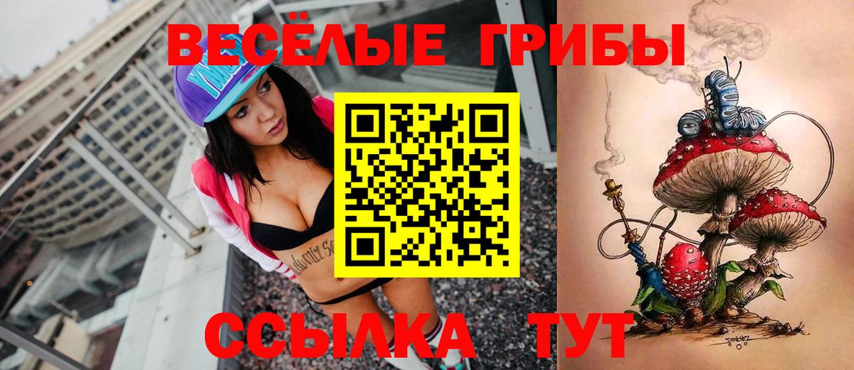 Нарткала  купить наркоту  Вход с VPN  Псилоцибиновые грибы GOLDEN TEACHER 