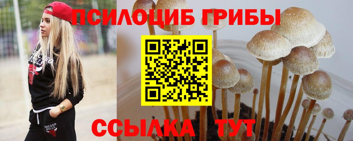Псилоцибиновые грибы Magic Shrooms Нарткала